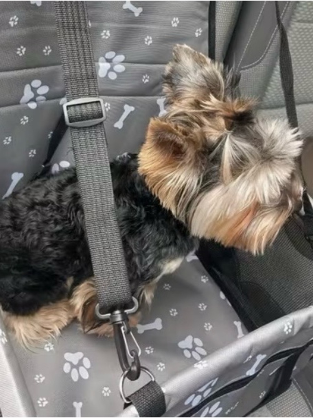 Gray Paw & Bone Pet Car Seat Liner